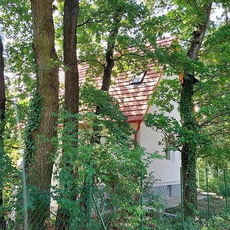Villa Szepiheno Balatonszepezd Exterior foto