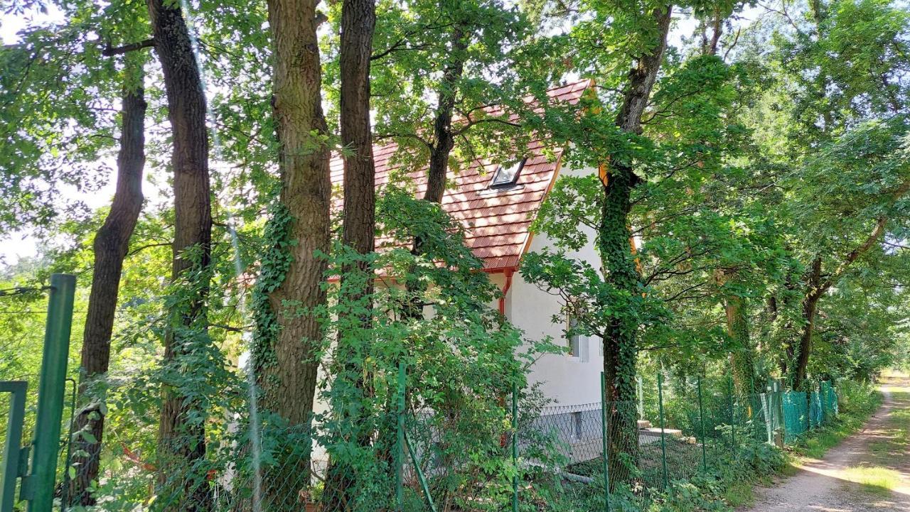 Villa Szepiheno Balatonszepezd Exterior foto